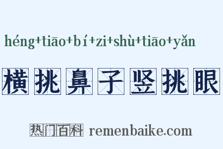 横挑鼻子竖挑眼是什么意思的图片